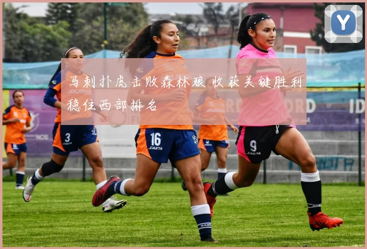 马刺扑虎击败森林狼 收获关键胜利稳住西部排名