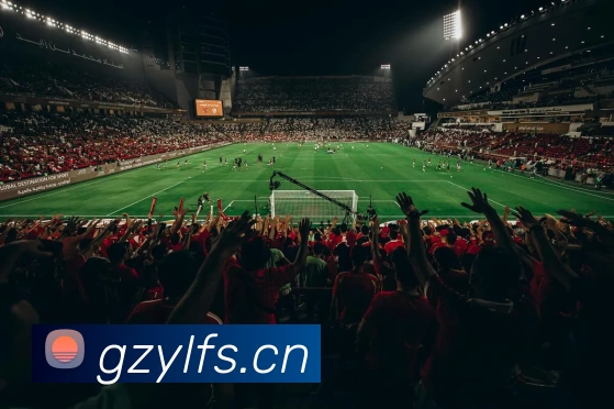 世界杯官网平台平台生态图